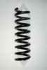 SPIDAN 85766 Coil Spring